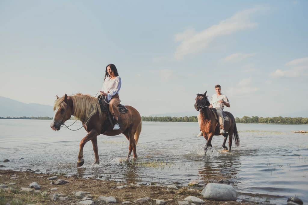 Horse ride on Lake Kerkini